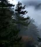  山林间徒步者背影475#竖屏 	 