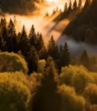  山林间晨雾弥漫的自然风光6231#竖屏 	 