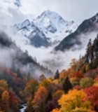  山间秋景溪流与雪山风光5220#竖屏 	 