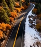  山间森林中的蜿蜒公路6391#竖屏 	 