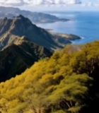  山间公路与海景自然风光5656#竖屏 	 