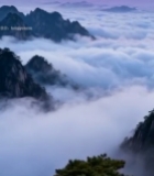  山峰云海日出自然景观3439#竖屏 	 