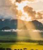  山间草原日出阳光洒落景象2123#竖屏 	 