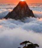  山峰云海日出景观(2)7687#竖屏 	 