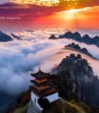  山峰云海日出景观5829#竖屏 	 