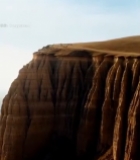  沙丘上的绿色植被1232#竖屏 	 