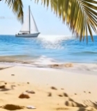  沙滩贝壳与海上帆船景象3046#竖屏 	 