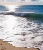  沙滩粉色花卉与海浪景观2994#竖屏 	 