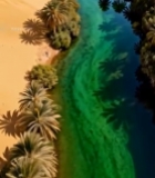  沙漠中蜿蜒河流与棕榈树景观1430#竖屏 	 