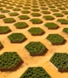  沙漠中的六边形绿植种植区5346#竖屏 	 