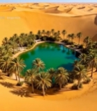  沙漠中的绿洲景观(1)4158#竖屏 	 