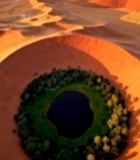  沙漠中的绿洲鸟瞰景象5187#竖屏 	 