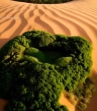  沙漠中的绿洲景象3178#竖屏 	 