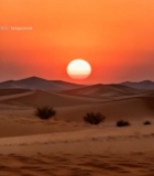  沙漠夕阳全景(1)1735#竖屏 	 