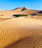  沙漠沙丘自然风光(3)6134#竖屏 	 