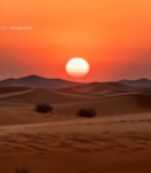  沙漠夕阳全景(1)1735#竖屏 	 