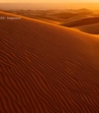  沙漠沙丘自然风光(4)6691#竖屏 	 