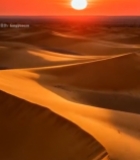  沙漠夕阳全景265#竖屏 	 