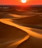  沙漠夕阳全景265#竖屏 	 