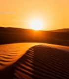  沙漠夕阳全景(2)2289#竖屏 	 