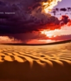  沙漠日落自然风光(3)5466#竖屏 	 