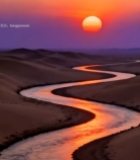  沙漠河流日落风光6194#竖屏 	 