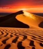  沙漠日落沙丘风景1622#竖屏 	 