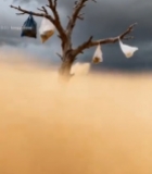  沙漠枯树旁的垃圾堆积场景3733#竖屏 	 