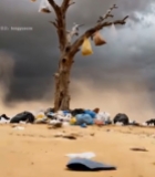  沙漠枯树下堆积的垃圾3997#竖屏 	 