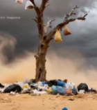 沙漠枯树下堆积的垃圾3997#竖屏 	 