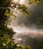  森林湖畔阳光自然风光483#竖屏 	 