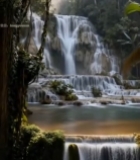  森林中瀑布自然景观1882#竖屏 	 