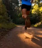  森林中人物跑步画面5658#竖屏 	 