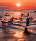  日落时海面漂浮的塑料瓶4673#竖屏 	 