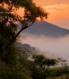  日出时山间宝塔自然风光4045#竖屏 	 