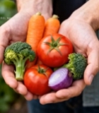  人手捧新鲜蔬菜特写2677#竖屏 	 