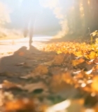  人在秋日林间小道上行走4457#竖屏 	 