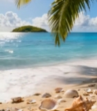  热带海滩海景及沙滩贝壳素材2074#竖屏 	 