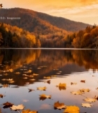  秋日山林湖泊风景4451#竖屏 	 