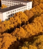  秋季校园建筑鸟瞰5589#竖屏 	 