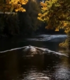  秋日河流小船风景457#竖屏 	 