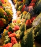  秋季森林河流航拍全景6949#竖屏 	 