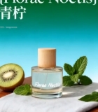  青柠主题香水瓶与猕猴桃静物4149#竖屏 	 