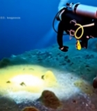  潜水员海底管道间潜水画面1561#竖屏 	 