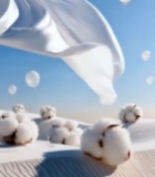  飘扬白布下的棉花场景893#竖屏 	 