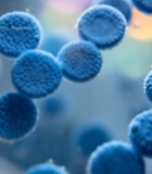  培养皿中的细胞微观画面2149#竖屏 	 