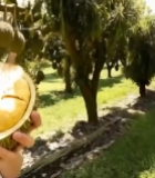  女子手持榴莲在榴莲树前自拍5196#竖屏 	 