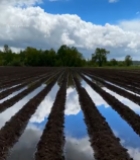  农田雨后积水天空倒影景象2864#竖屏 	 