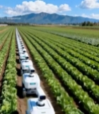  农田中农业机器人作业场景1726#竖屏 	 