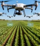  农田上空多架无人机飞行画面5860#竖屏 	 